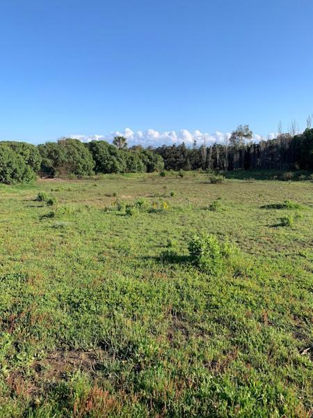 Finca Dos Vientos Tarifa Eksteriør billede